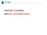 7.1.2+昆虫的生殖和发育课件2023-2024学年人教版生物八年级下册