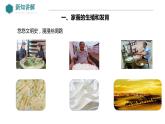 7.1.2+昆虫的生殖和发育课件2023-2024学年人教版生物八年级下册