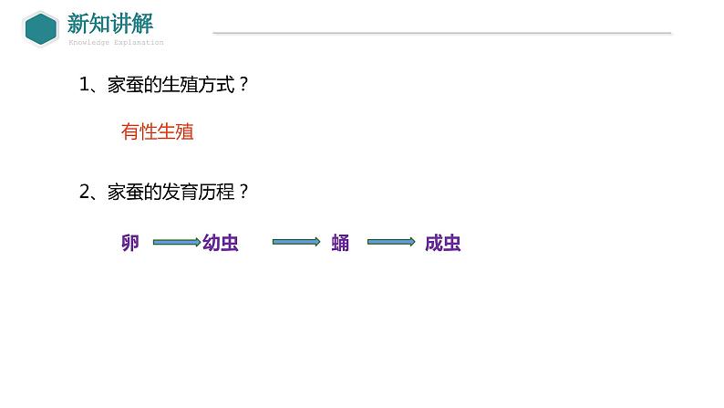 7.1.2+昆虫的生殖和发育课件2023-2024学年人教版生物八年级下册第7页