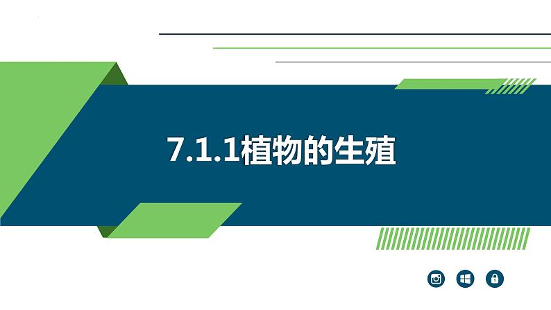 +7.1.1++植物的生殖课件2023-2024学年人教版生物八年级下册第1页