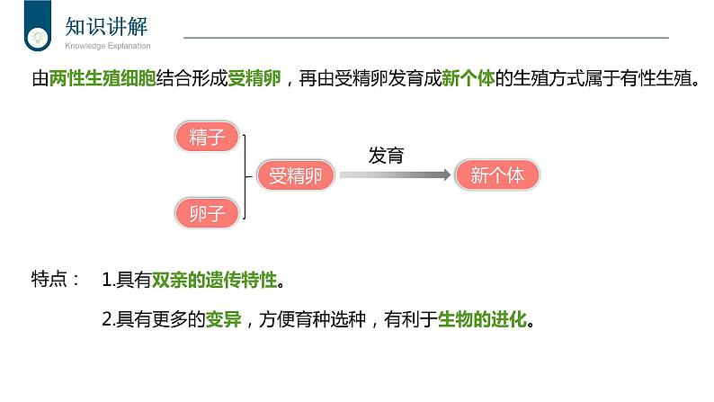 +7.1.1++植物的生殖课件2023-2024学年人教版生物八年级下册第7页