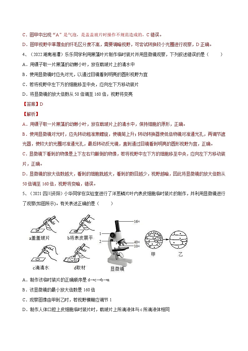 中考生物一轮复习巩固练习专题02 细胞是生命活动的基本单位（含解析）第3页