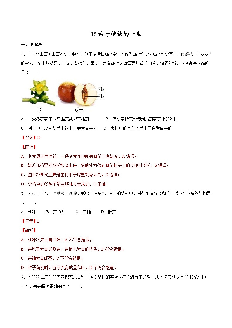 中考生物一轮复习巩固练习专题05 被子植物的一生（含解析）第1页