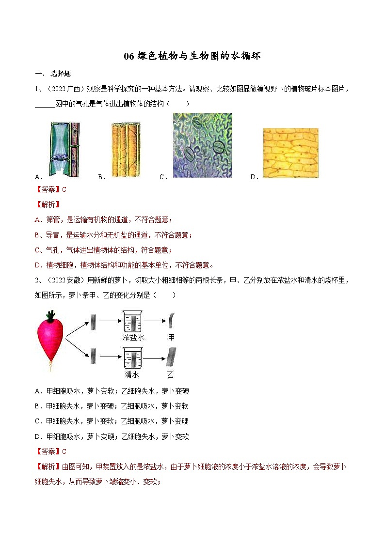 中考生物一轮复习巩固练习专题06 绿色植物与生物圈的水循环（含解析）第1页