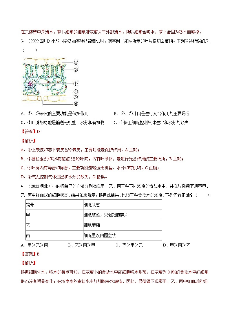 中考生物一轮复习巩固练习专题06 绿色植物与生物圈的水循环（含解析）第2页