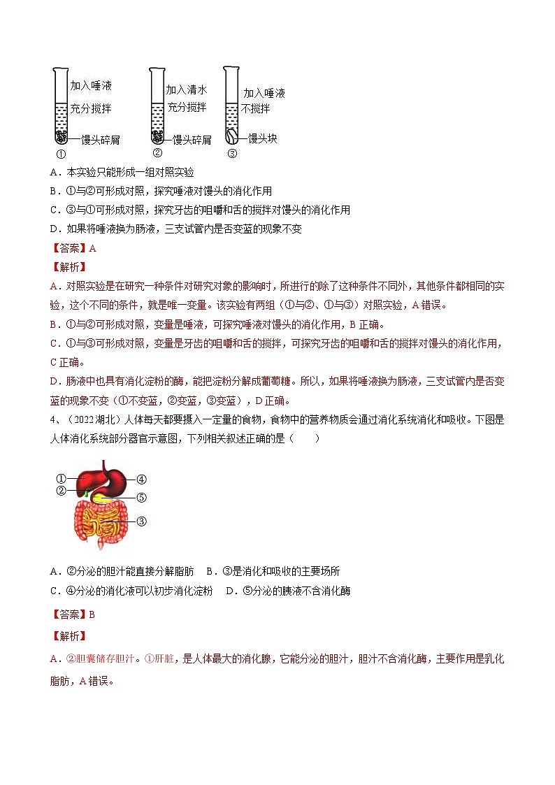 中考生物一轮复习巩固练习专题10 人体的营养（含解析）02