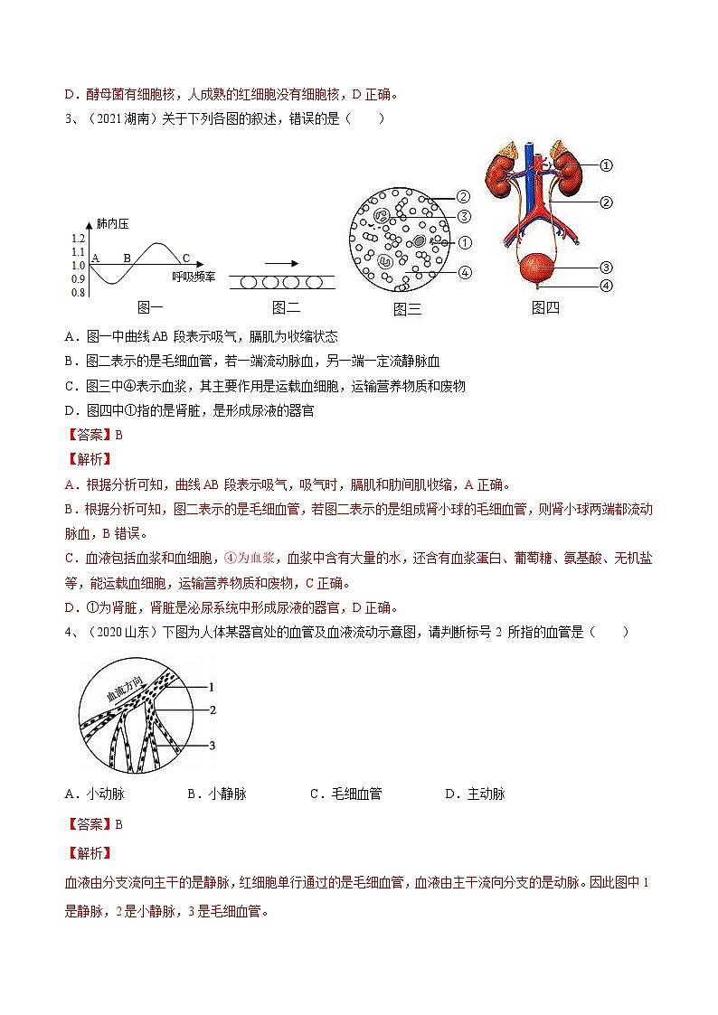 中考生物一轮复习巩固练习专题12 人体内物质的运输（含解析）第2页