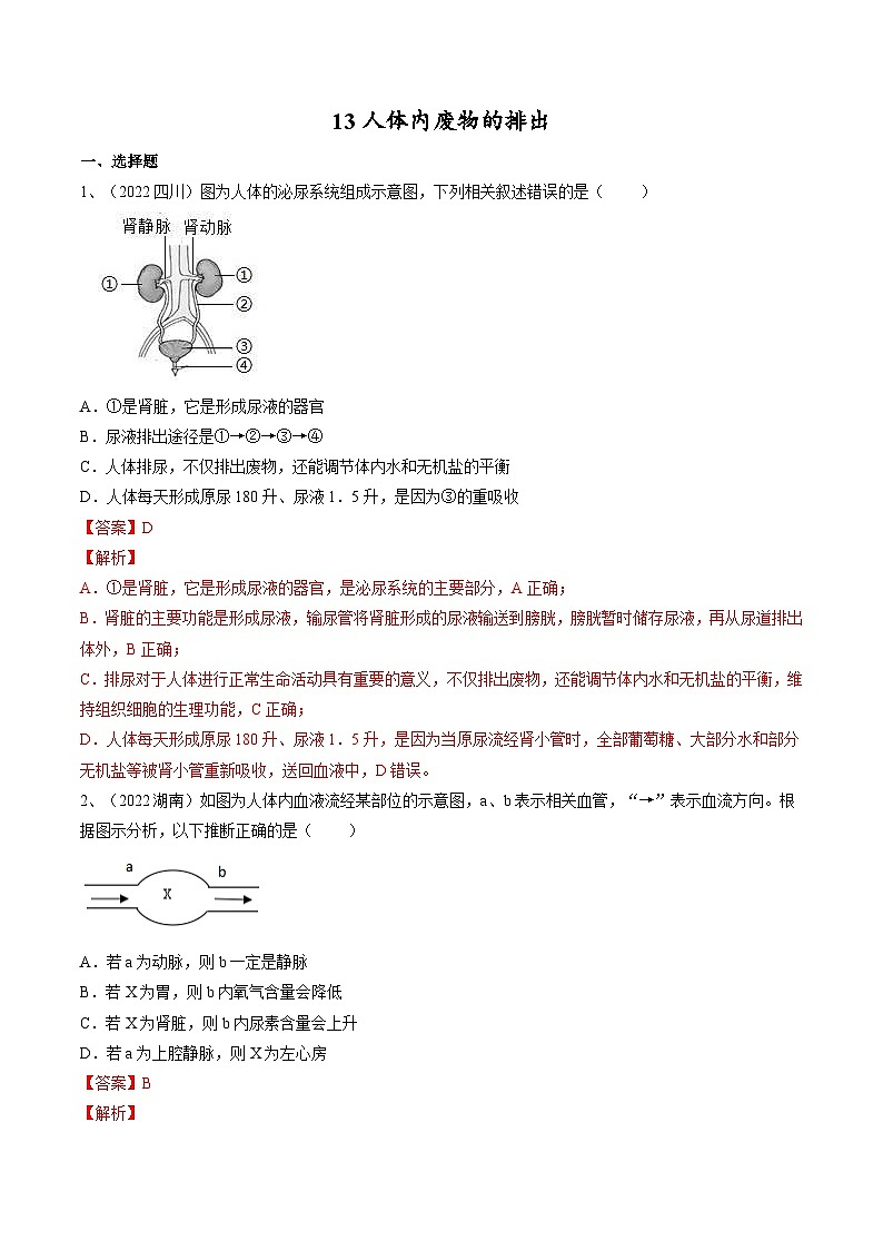 中考生物一轮复习巩固练习专题13 人体内废物的排出（含解析）第1页