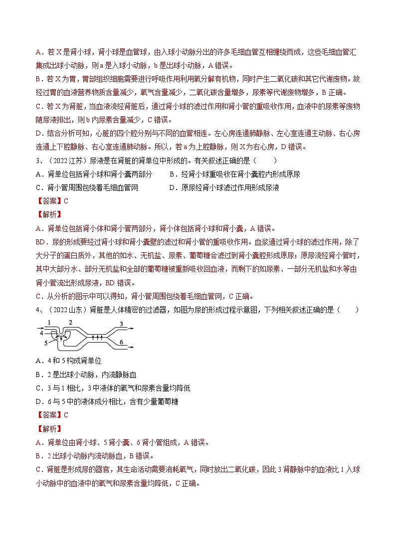 中考生物一轮复习巩固练习专题13 人体内废物的排出（含解析）第2页