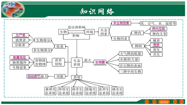 【2024年会考】初中生物 专题01 生物和生物圈-课件第3页