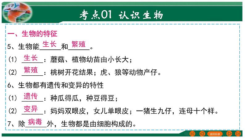 【2024年会考】初中生物 专题01 生物和生物圈-课件第5页