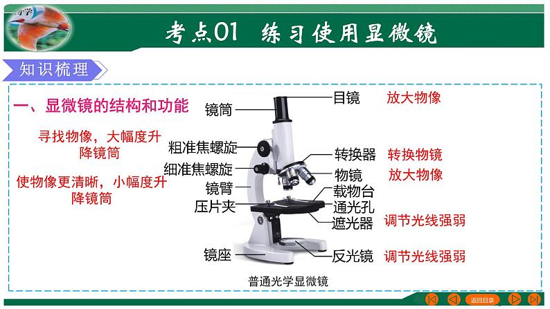 【2024年会考】初中生物 专题02 细胞是生命活动的基本单位-课件第4页