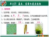 【2024年会考】初中生物 专题04 生物圈中有哪些绿色植物-课件