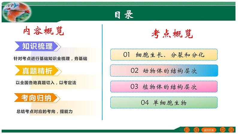 【2024年会考】初中生物 专题03 细胞怎样构成生物体-课件02