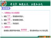 【2024年会考】初中生物 专题03 细胞怎样构成生物体-课件