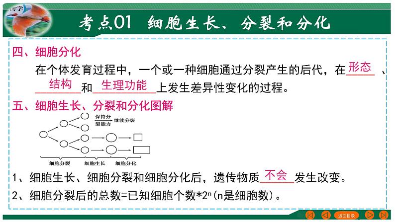 【2024年会考】初中生物 专题03 细胞怎样构成生物体-课件07