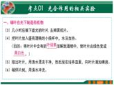 【2024年会考】初中生物 专题07 绿色植物的光合作用-课件