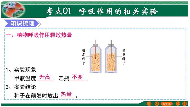 【2024年会考】初中生物 专题08 绿色植物的呼吸作用-课件04