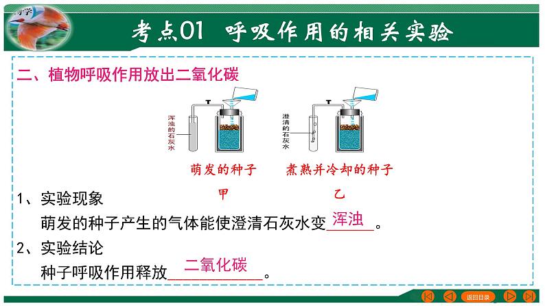 【2024年会考】初中生物 专题08 绿色植物的呼吸作用-课件05