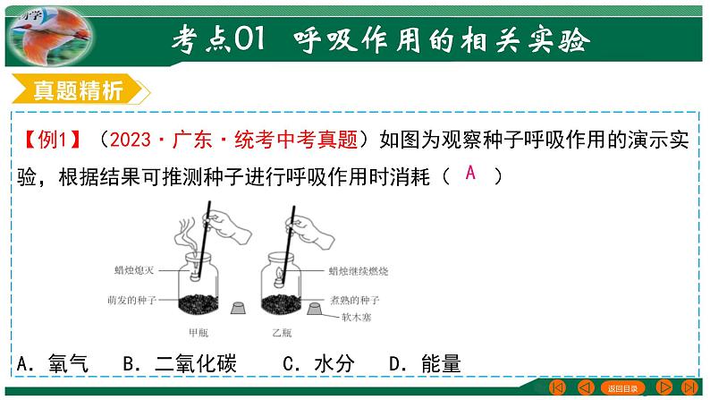 【2024年会考】初中生物 专题08 绿色植物的呼吸作用-课件07