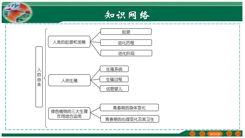 【2024年会考】初中生物 专题09 人的由来-课件03