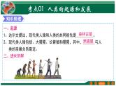【2024年会考】初中生物 专题09 人的由来-课件