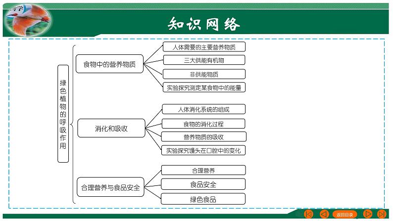 【2024年会考】初中生物 专题10 人体的营养-课件第3页