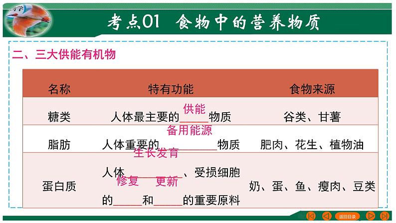 【2024年会考】初中生物 专题10 人体的营养-课件第5页