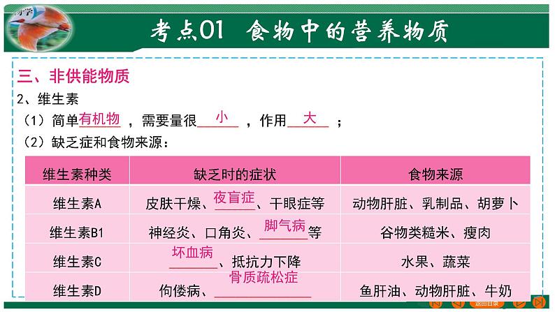 【2024年会考】初中生物 专题10 人体的营养-课件第7页