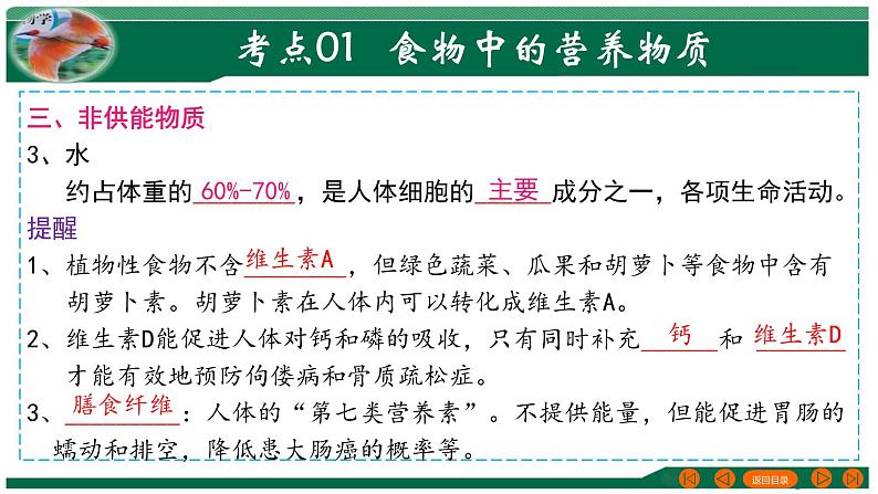 【2024年会考】初中生物 专题10 人体的营养-课件第8页