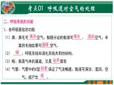 【2024年会考】初中生物 专题11 人体的呼吸-课件