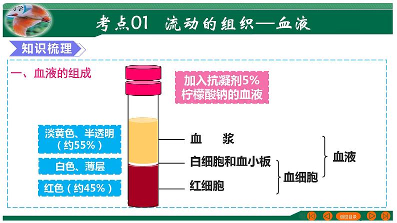 【2024年会考】初中生物 专题12 人体内物质的运输-课件04