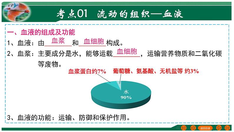 【2024年会考】初中生物 专题12 人体内物质的运输-课件05