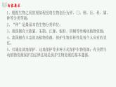 【2024年会考】初中生物 专题19 生物的多样性及其保护-课件