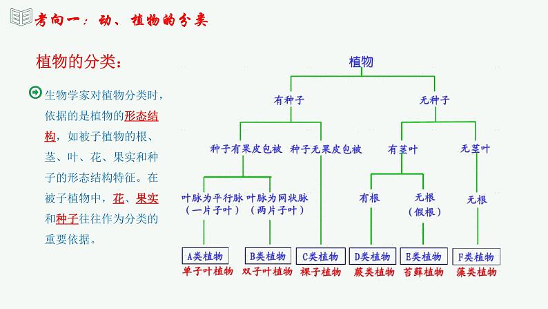 【2024年会考】初中生物 专题19 生物的多样性及其保护-课件07