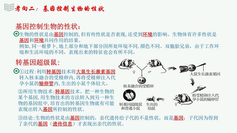 【2024年会考】初中生物 专题21 生物的遗传和变异-课件第7页