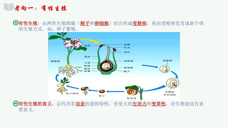 【2024年会考】初中生物 专题20 生物的生殖和发育-课件06