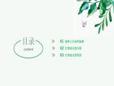【2024年会考】初中生物 专题22 生命的起源和生物的进化-课件