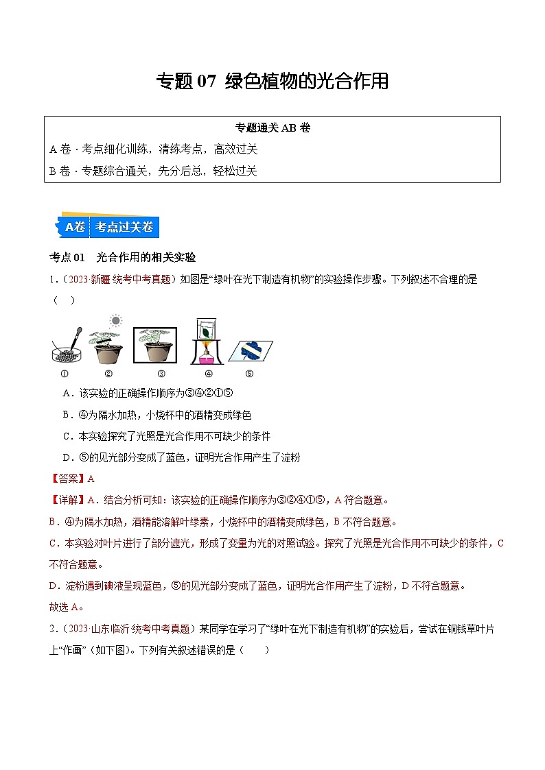 专题07 绿色植物的光合作用（解析版）第1页