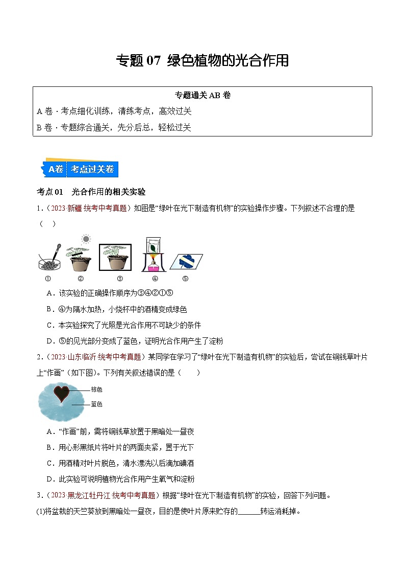 专题07 绿色植物的光合作用（原卷版）第1页