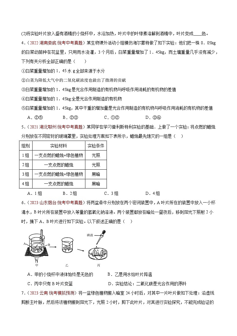 专题07 绿色植物的光合作用（原卷版）第2页