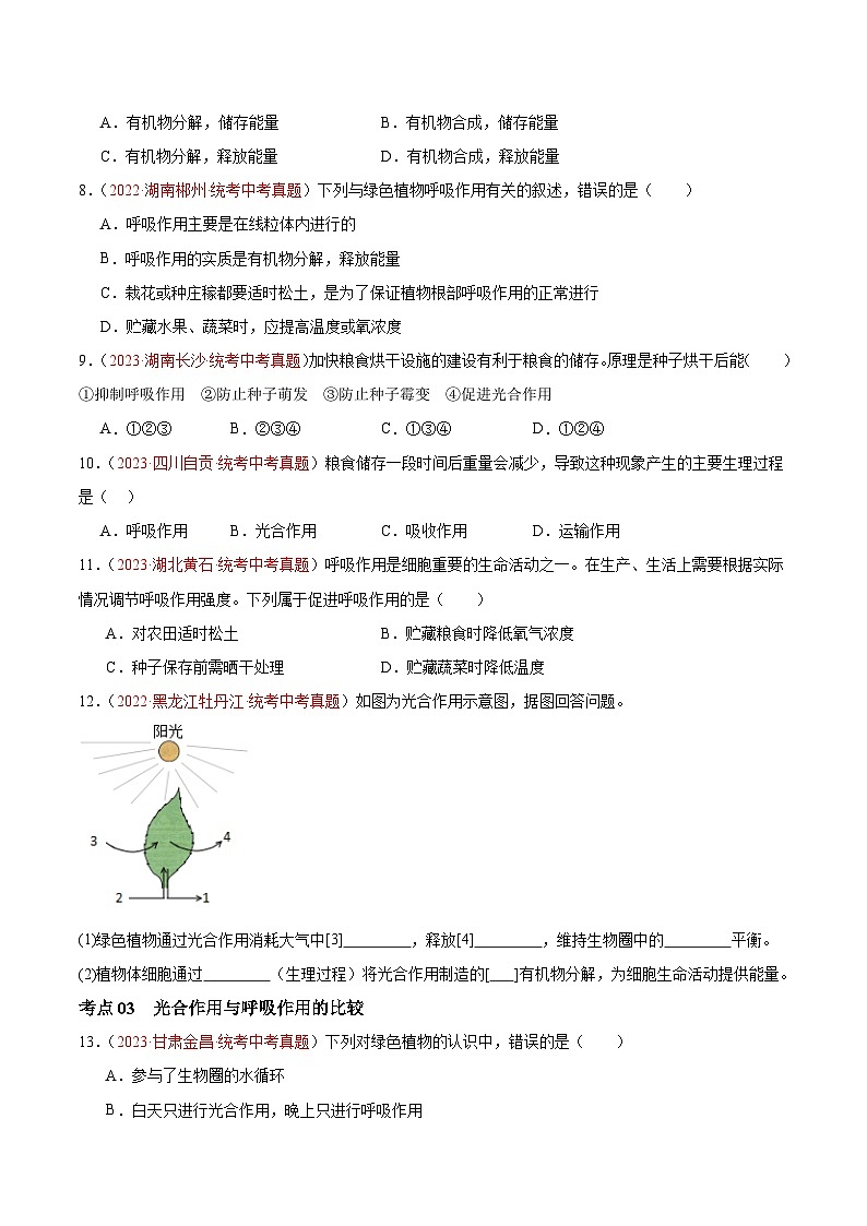 【2024年会考】初中生物 专题08 绿色植物的呼吸作用练习03