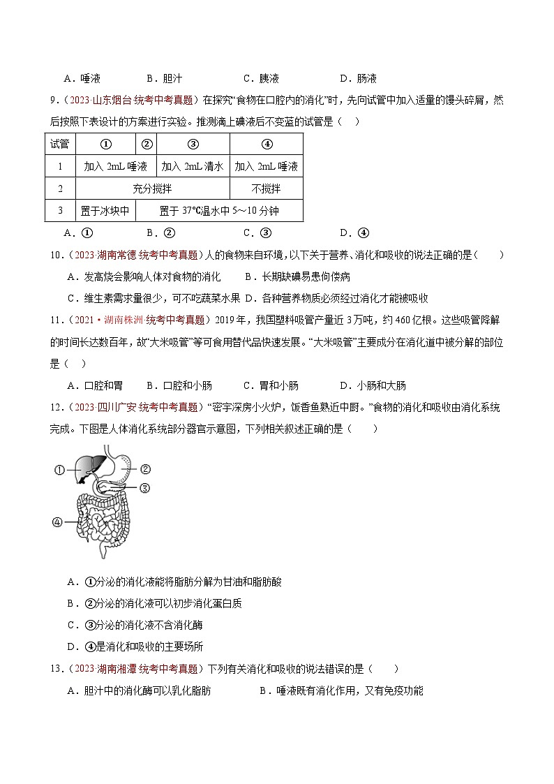 【2024年会考】初中生物 专题10 人体的营养练习02