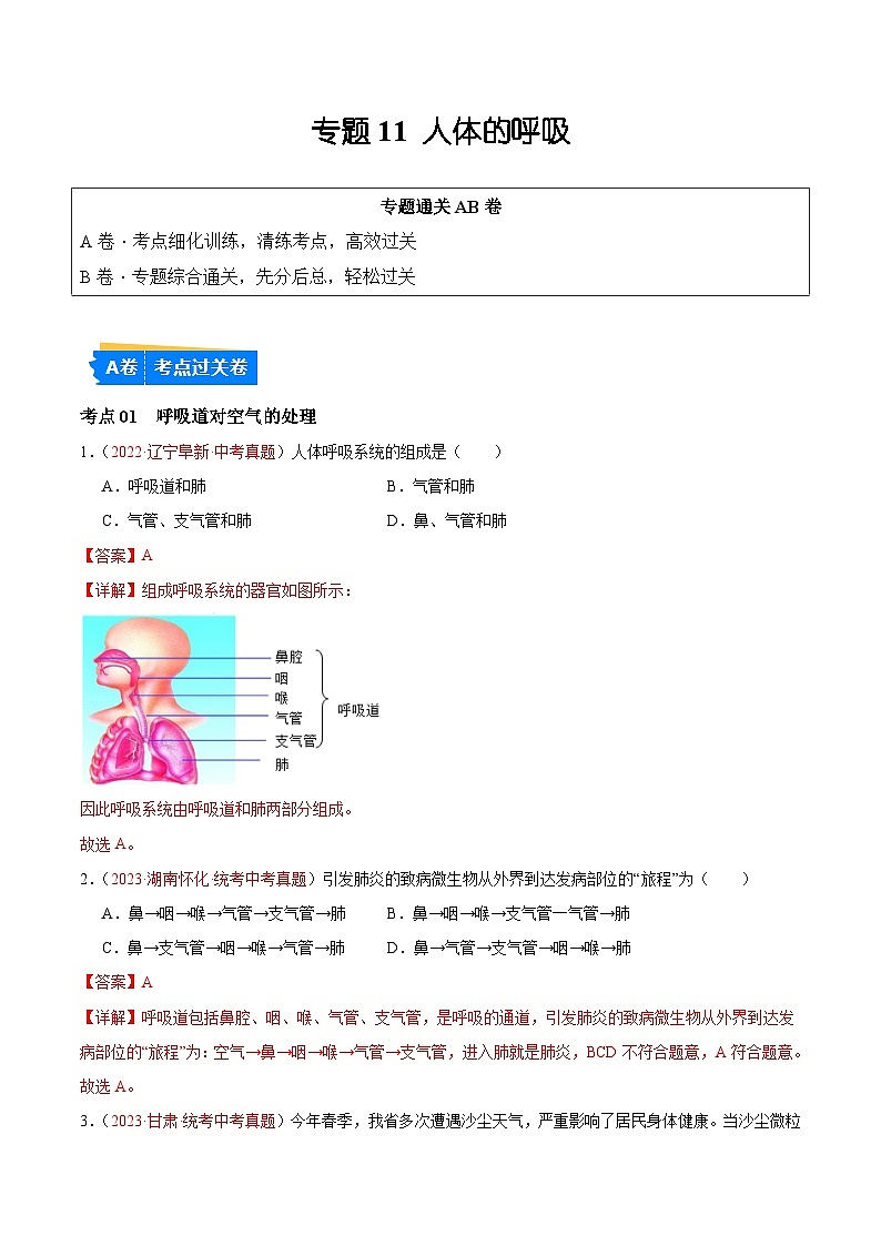【2024年会考】初中生物 专题11 人体的呼吸练习01