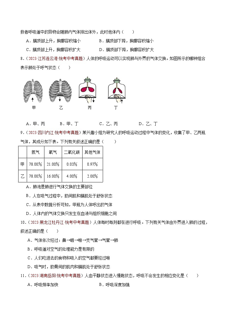 【2024年会考】初中生物 专题11 人体的呼吸练习02