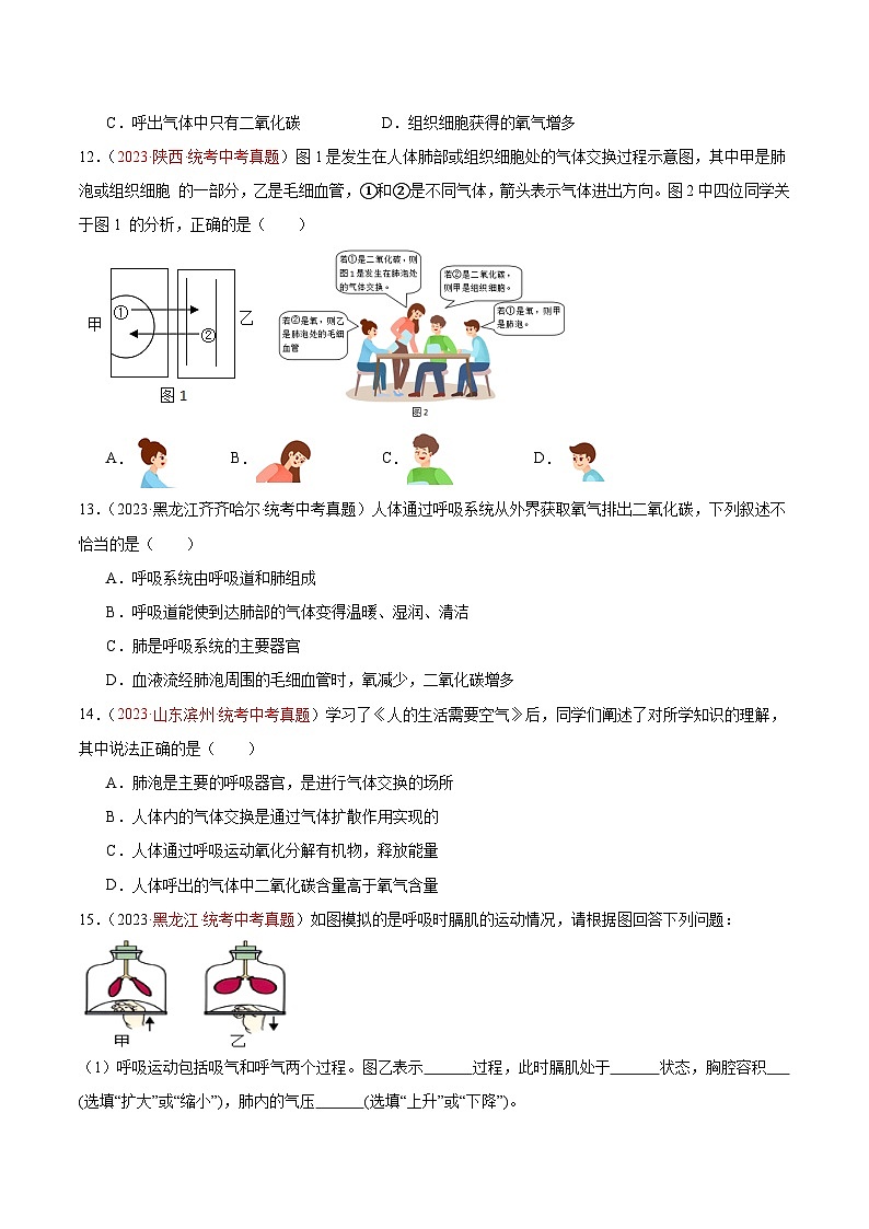 【2024年会考】初中生物 专题11 人体的呼吸练习03