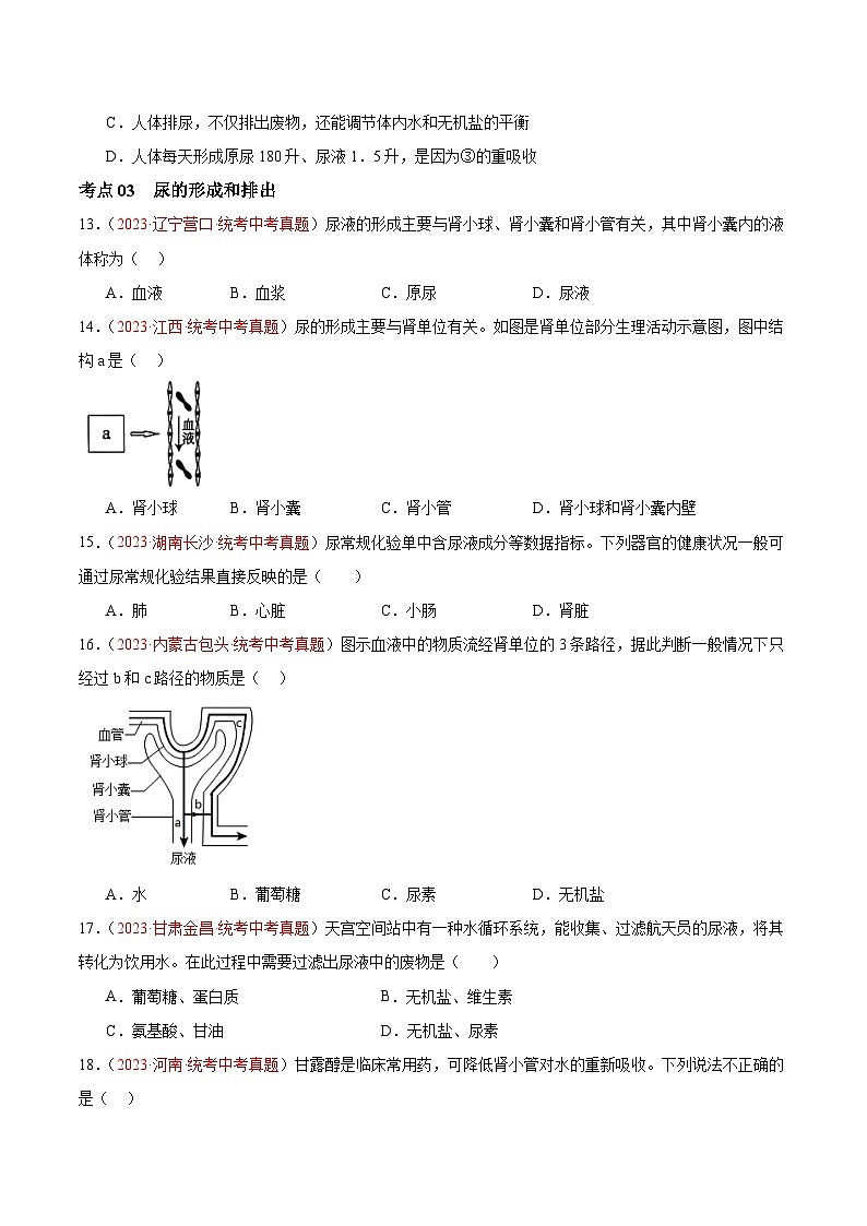 专题13 人体内废物的排出（原卷版）第3页