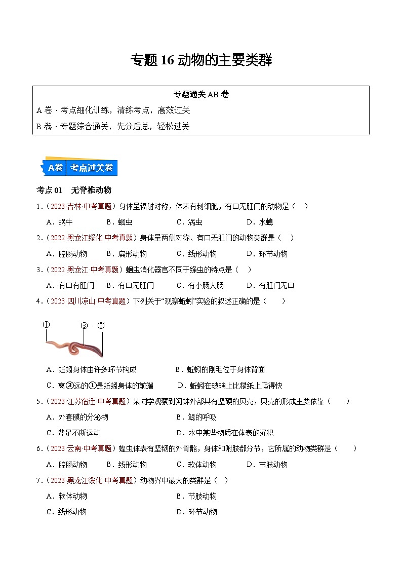 专题16 动物的主要类群（原卷板） 第1页