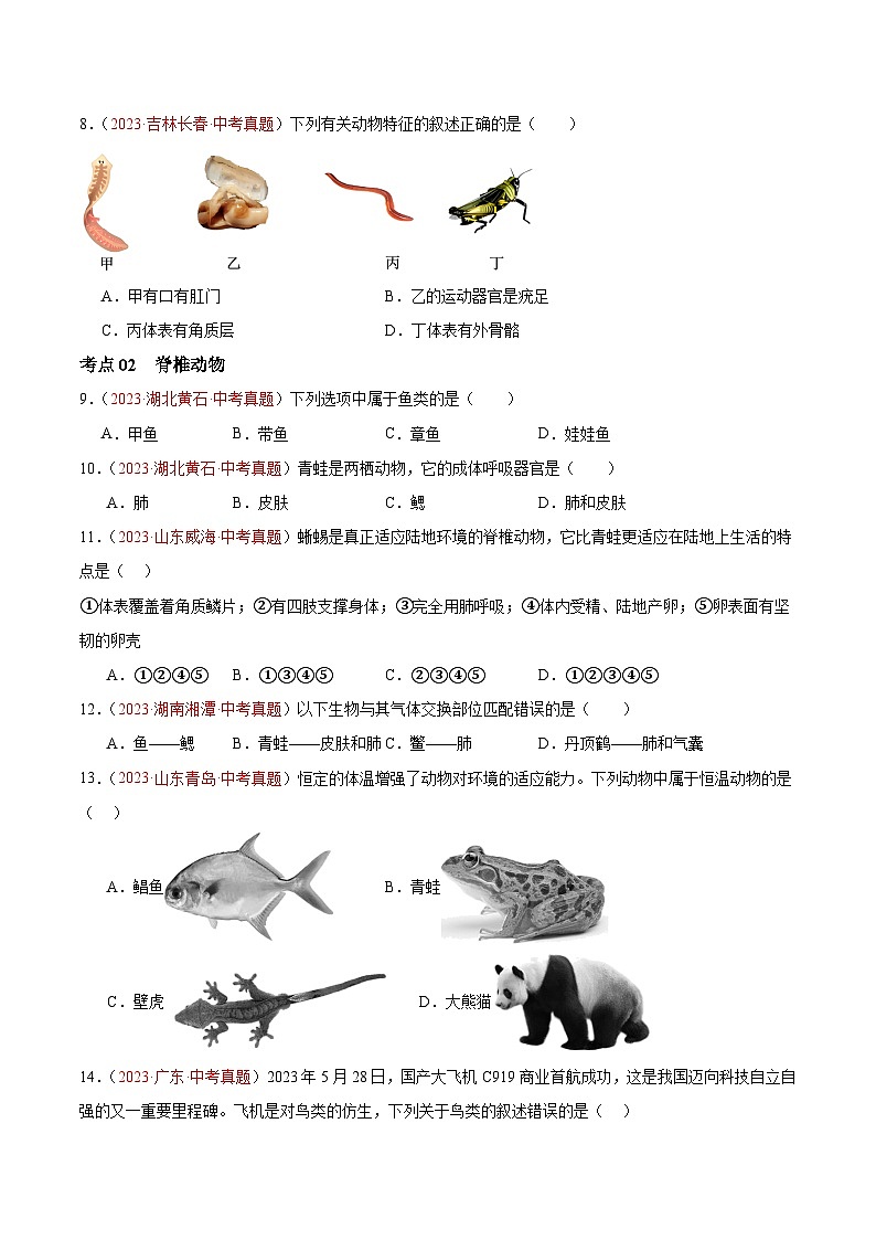 专题16 动物的主要类群（原卷板） 第2页