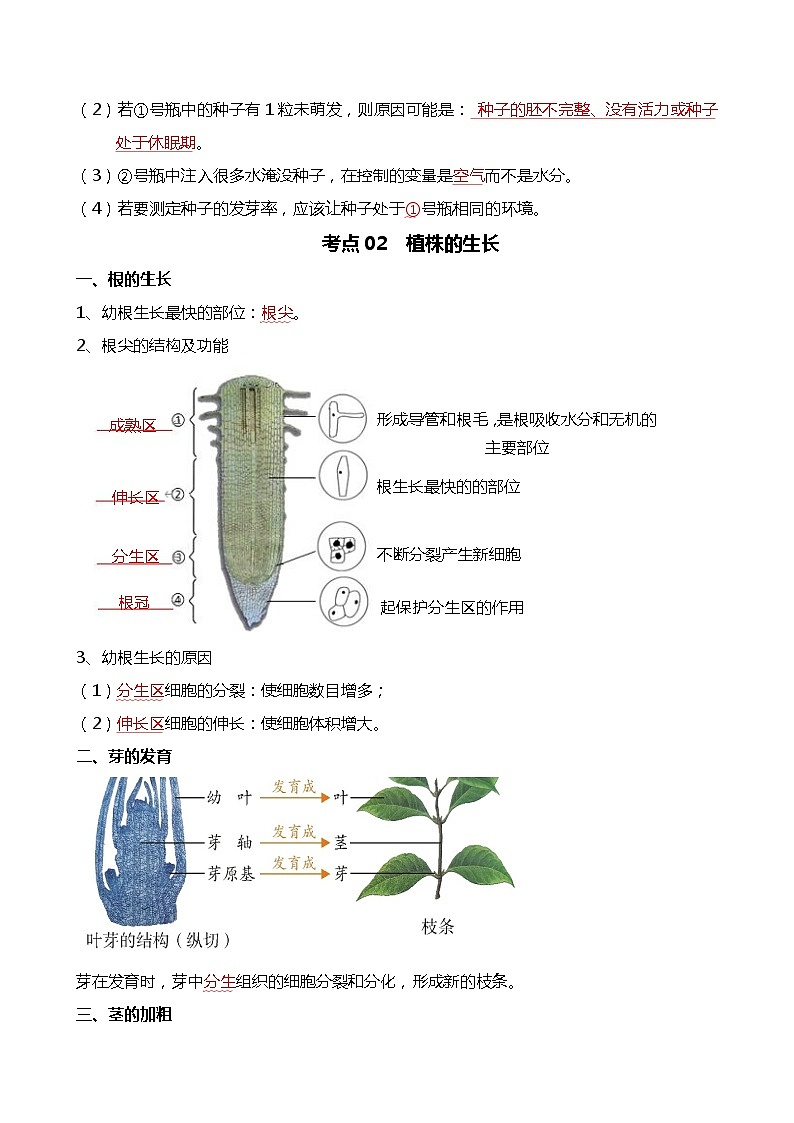 【2024年会考】初中生物 专题05 被子植物的一生-背诵清单03